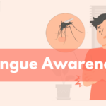 Dengue Stages