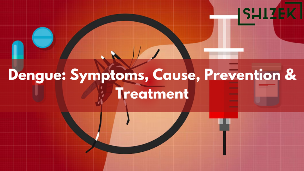 Dengue Fever Cause Symptoms Treatment