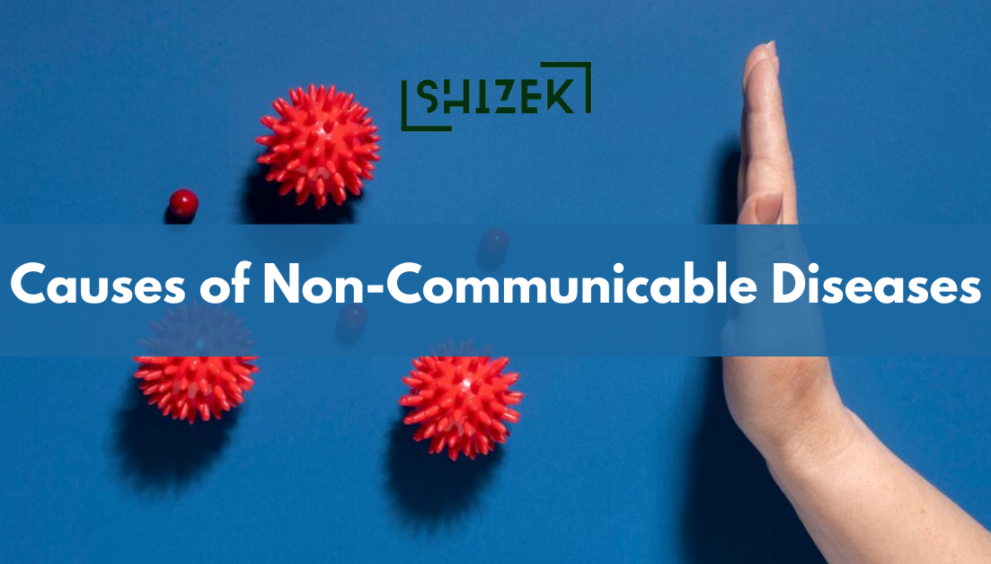 causes of non communicable diseases