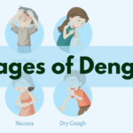 7 Warning Signs of Dengue Fever