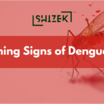 Dengue Stages