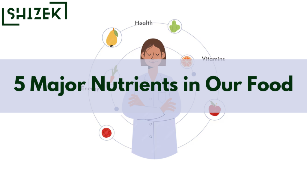 5 Major Nutrients in Our Food