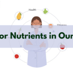 What is Autotrophic Nutrition?