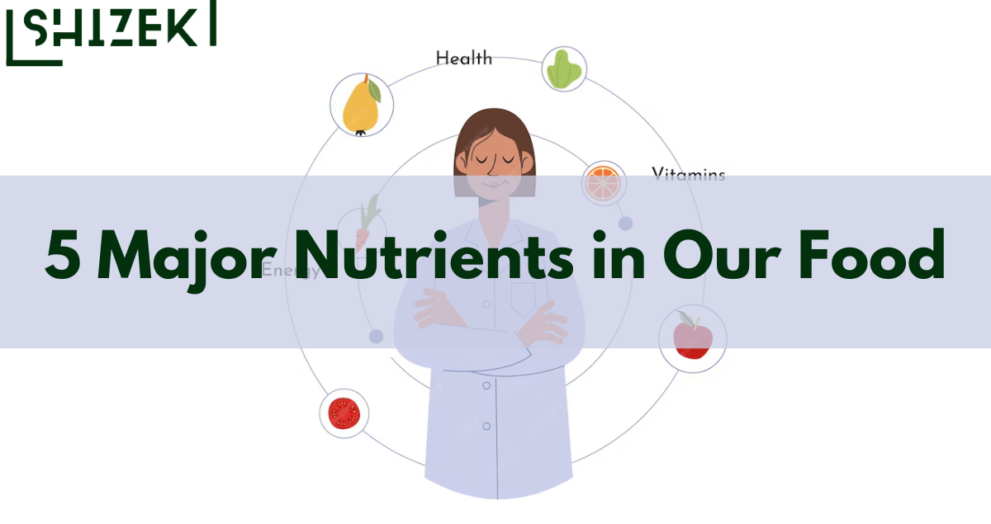 5 Major Nutrients in Our Food