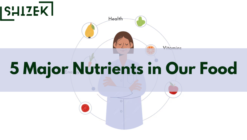 5 Major Nutrients in Our Food