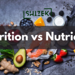 Autotrophic Nutrition Types