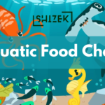 Aquatic Food Chain Example