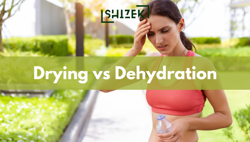 Difference Between Drying and Dehydration