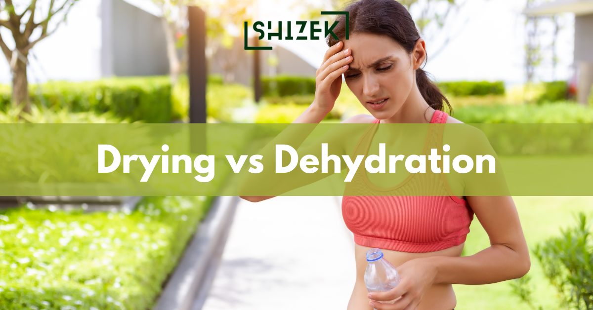 Difference Between Drying and Dehydration