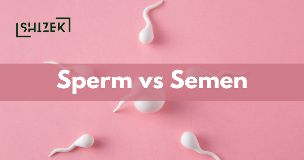 Difference Between Sperm and Semen