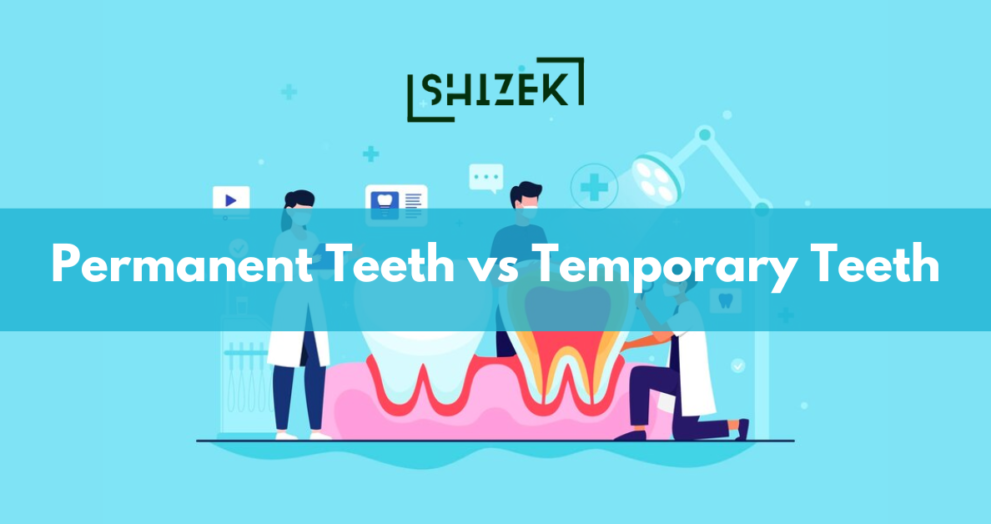 Difference between Permanent Teeth and Temporary Teeth