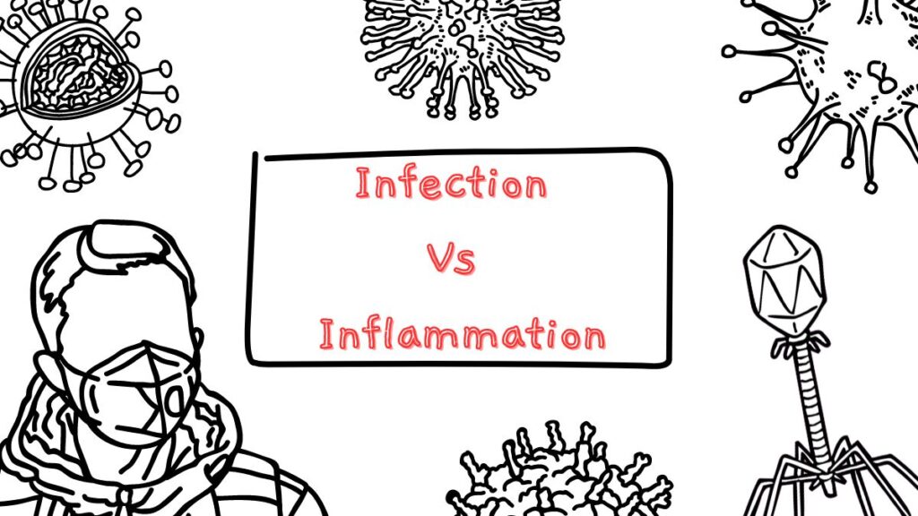 Difference Between Infection and Inflammation