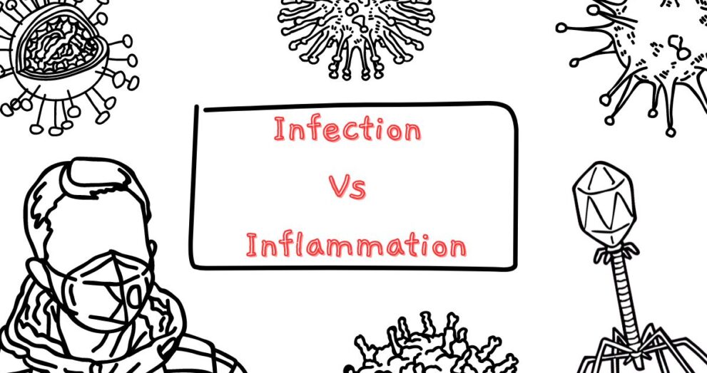 Difference Between Infection and Inflammation