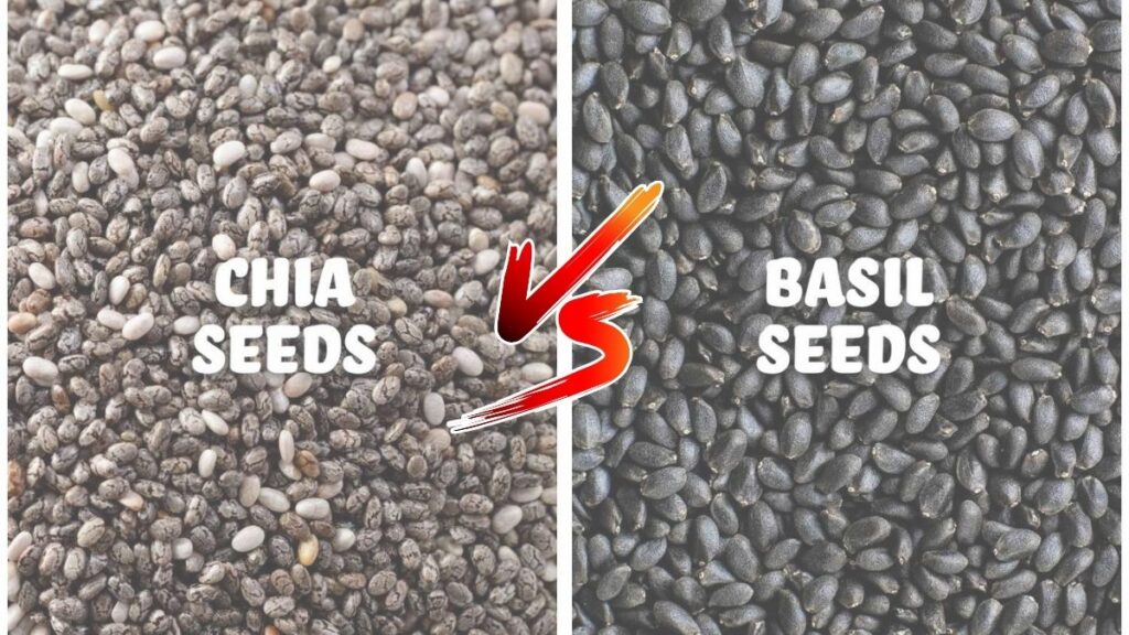 Difference Between Chia Seeds and Basil Seeds