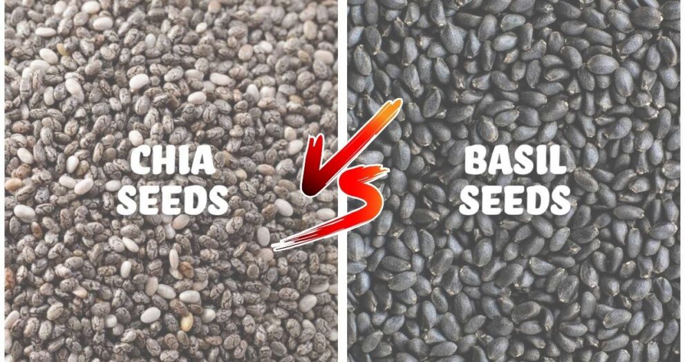 Difference Between Chia Seeds and Basil Seeds