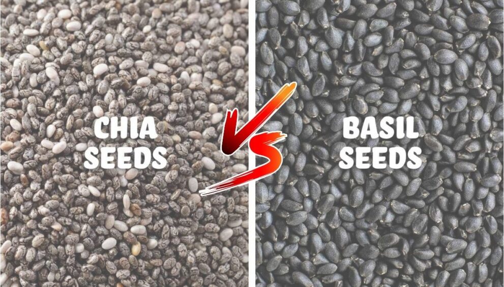 Difference Between Chia Seeds and Basil Seeds